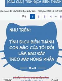 Tình Địch Biến Thành Mèo Của Tôi Rồi, Làm Sao Đây, Treo Máy Hóng Khẩn