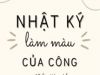 Nhật Ký Làm Màu Của Công