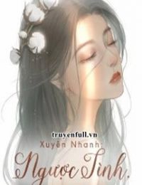 Xuyên Nhanh: Ngược Tình